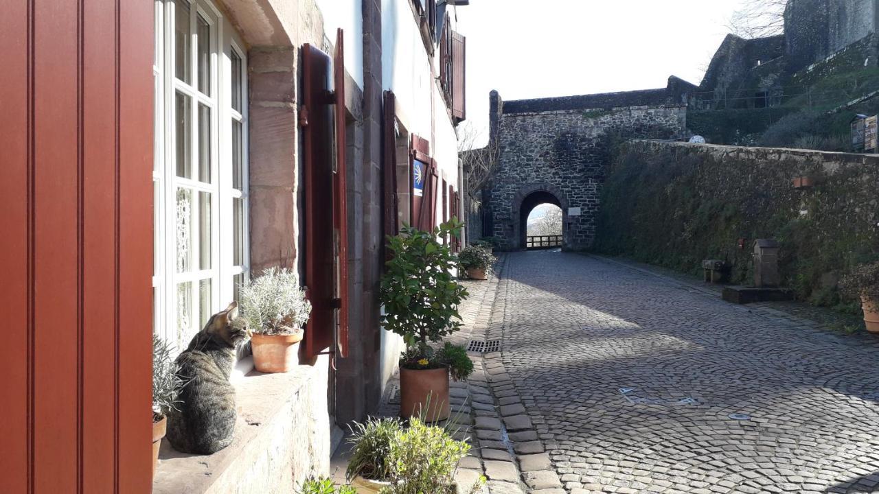 Florenchaenia Apartment Saint-Jean-Pied-de-Port Exterior foto