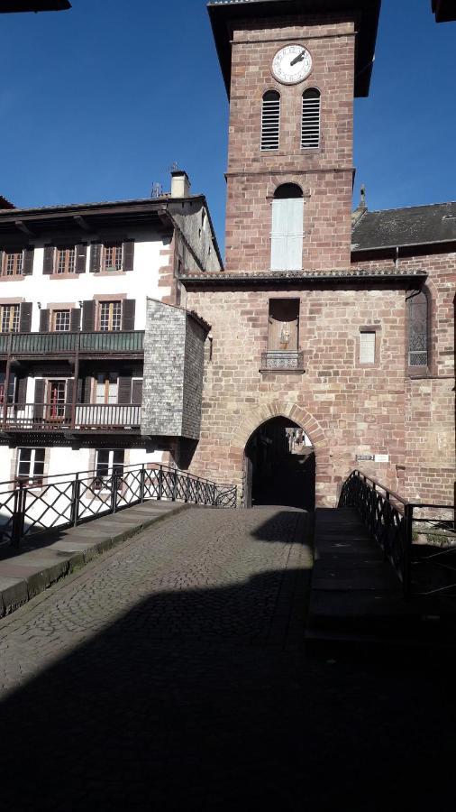 Florenchaenia Apartment Saint-Jean-Pied-de-Port Exterior foto